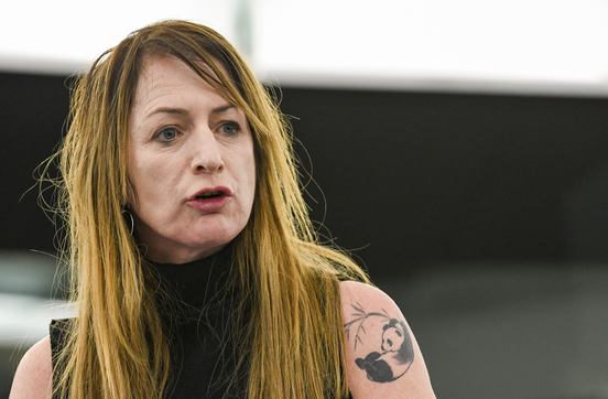 „Lýðræðisskjöldur Evrópu“ og málfrelsi í höftum.