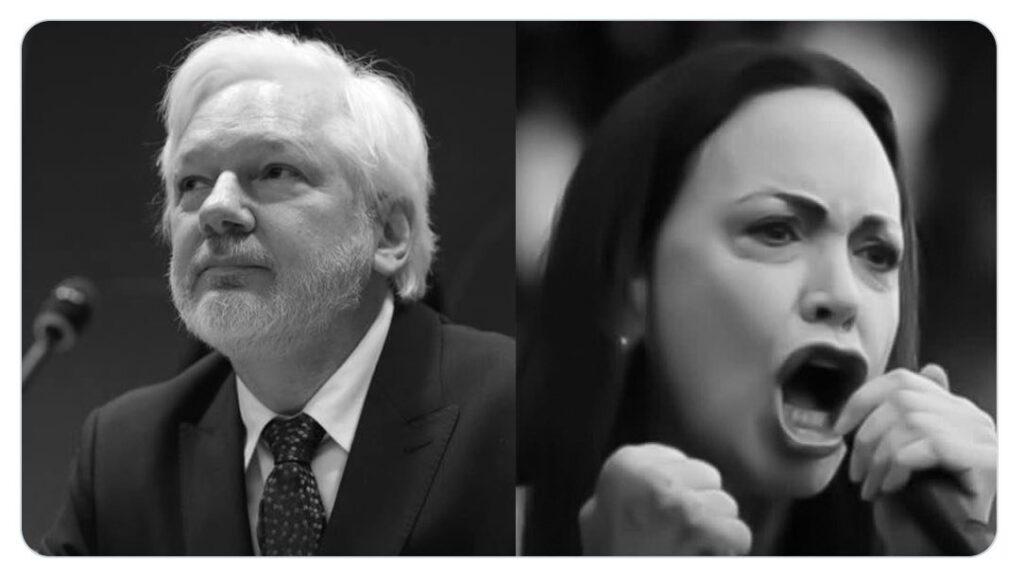 Ég styð fyllilega kæru Julian Assange til yfirvalda í Svíþjóð