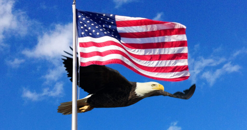 Herverndin sem skapar óöryggi